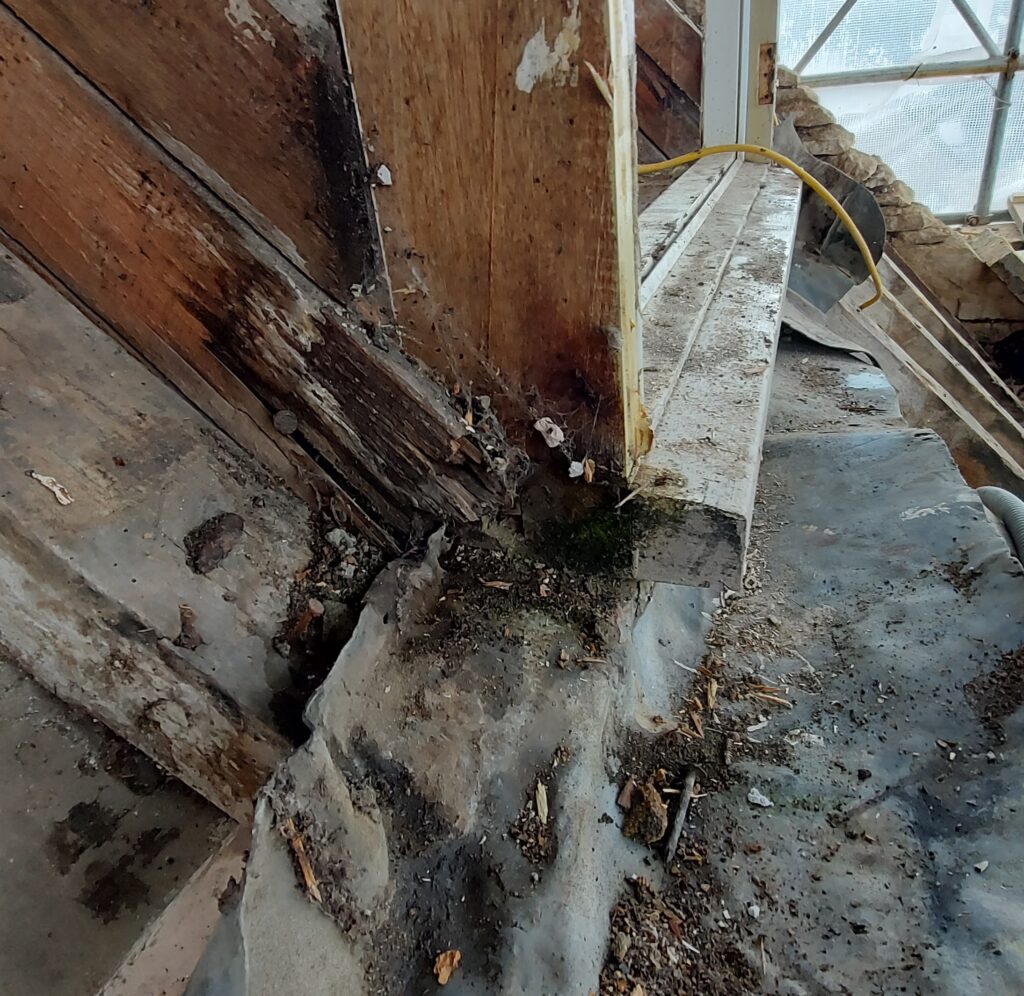 Rotten roof timbers, damaged by death watch beatles